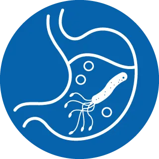 Image of a H. pylori bacteria living in a patient's stomach